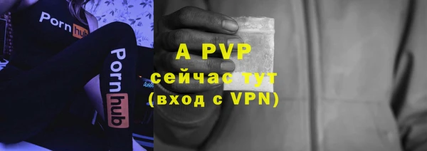 гашик Лихославль