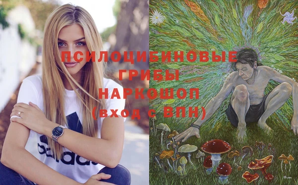 гашик Лихославль