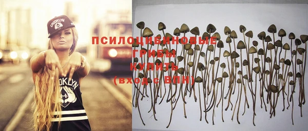 2c-b Похвистнево