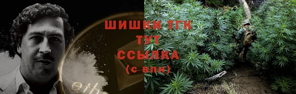 2c-b Богородицк