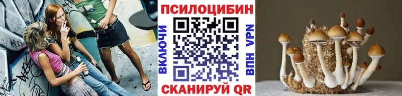 Псилоцибиновые грибы MAGIC MUSHROOMS  площадка состав  Апшеронск 