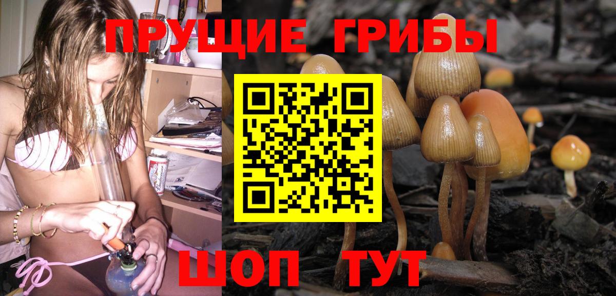Псилоцибиновые грибы Magic Shrooms Апшеронск