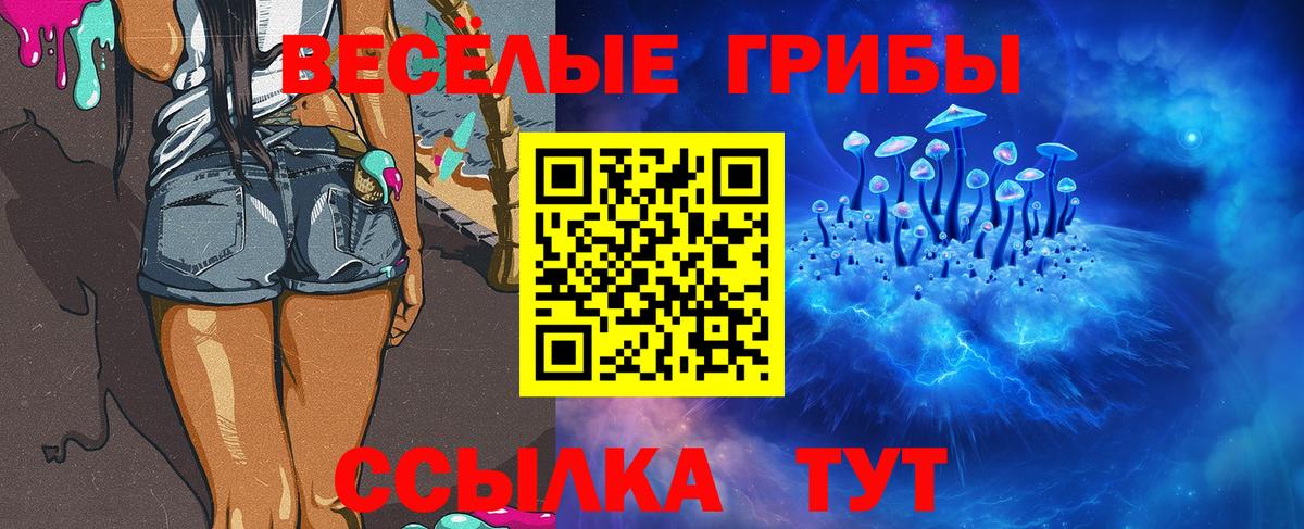 Галлюциногенные грибы Cubensis Апшеронск