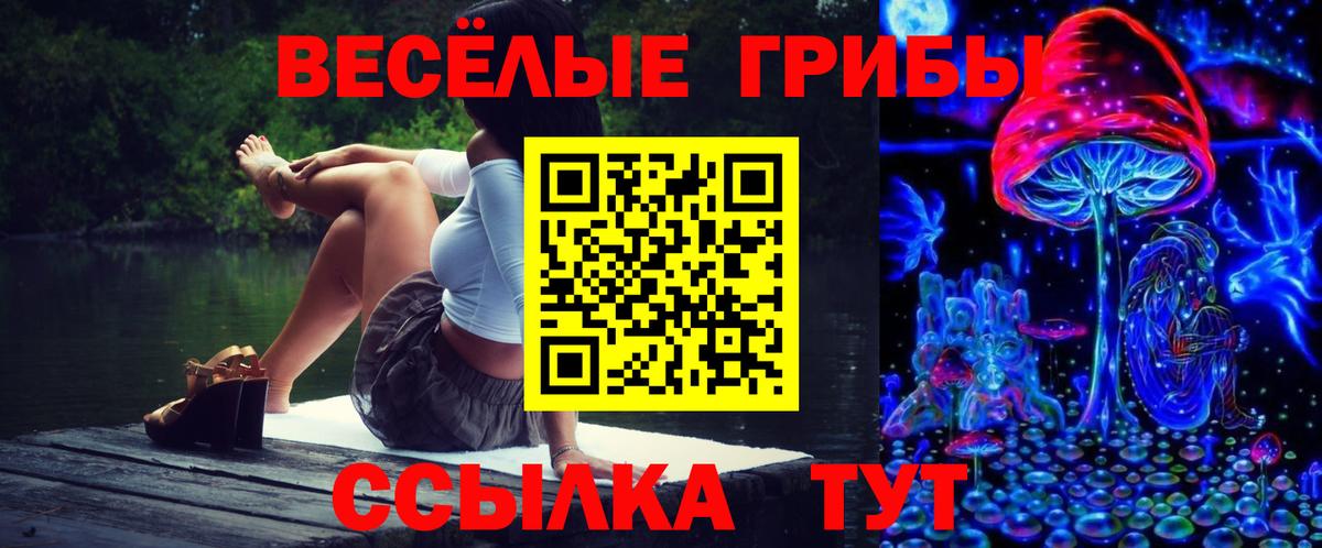 Псилоцибиновые грибы прущие грибы  Галлюциногенные грибы прущие грибы  Апшеронск  Вход с VPN 